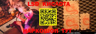 твердый Камышлов