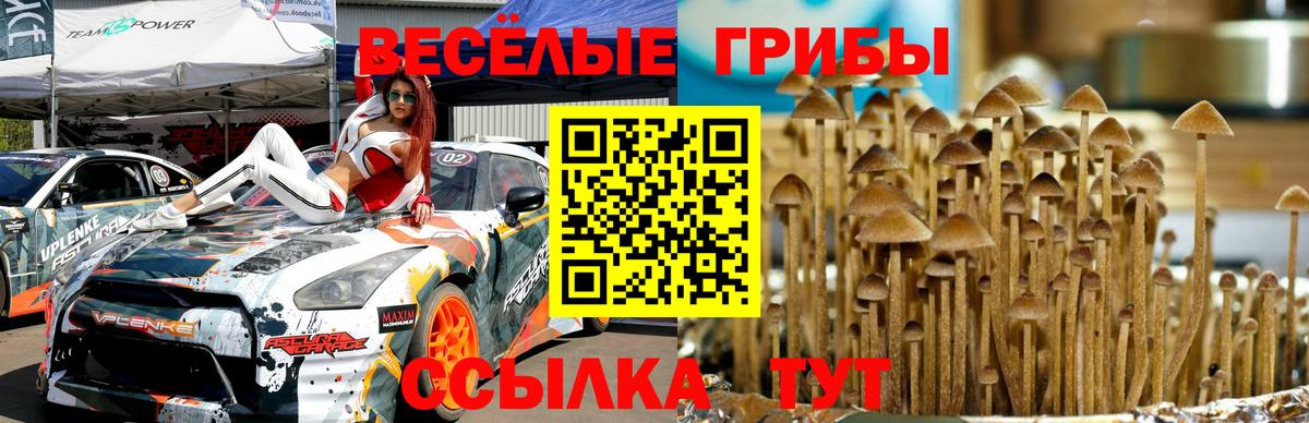 Сосновоборск  Галлюциногенные грибы прущие грибы  Галлюциногенные грибы MAGIC MUSHROOMS  Вход с VPN 
