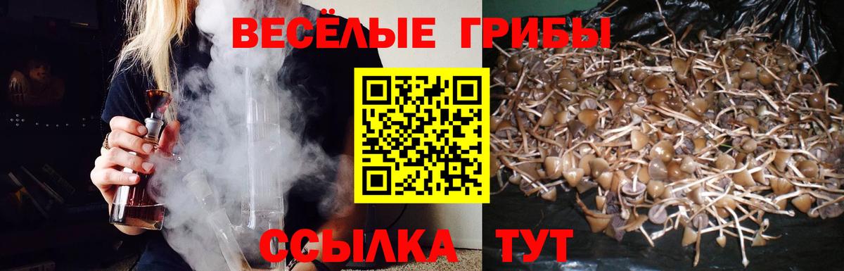Псилоцибиновые грибы MAGIC MUSHROOMS Сосновоборск